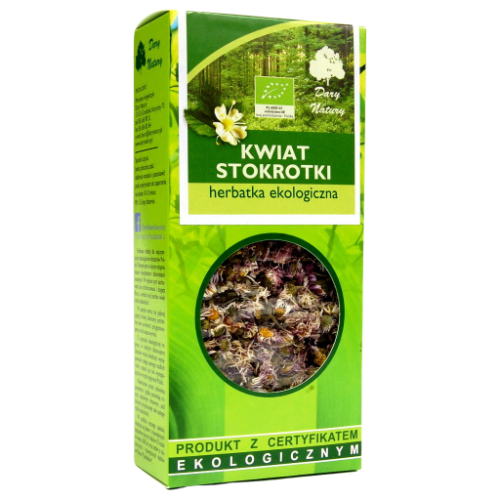 Stokrotka kwiat