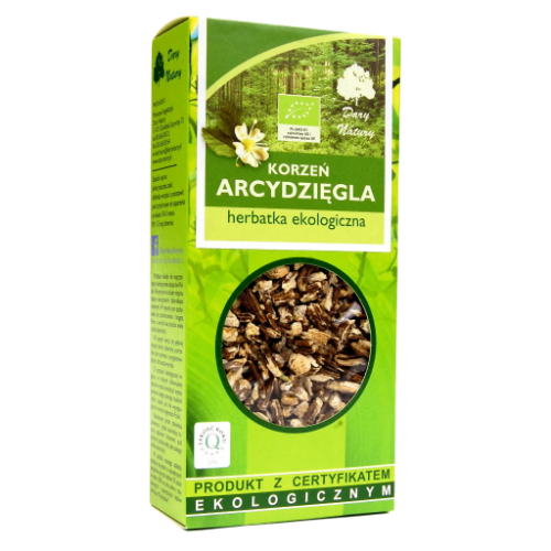 Arcydzięgiel korzeń