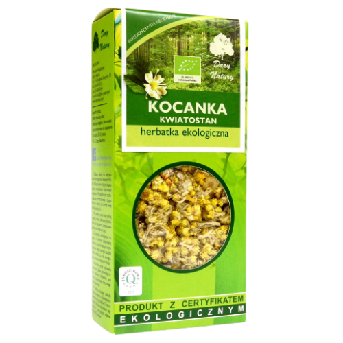 Kocanka kwiatostan