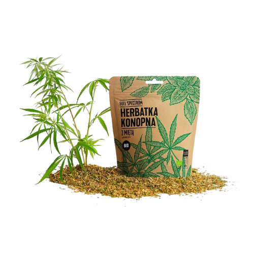 HERBATKA KONOPNA Z MIĘTĄ