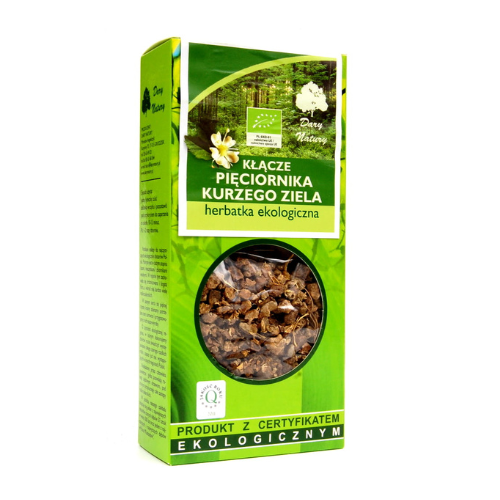 Pięciornik kurze ziele kłącze